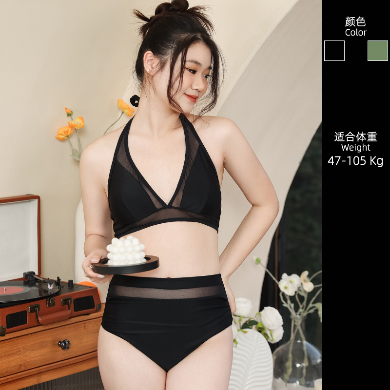 大码泳衣女款性感分体纯欲风海边
