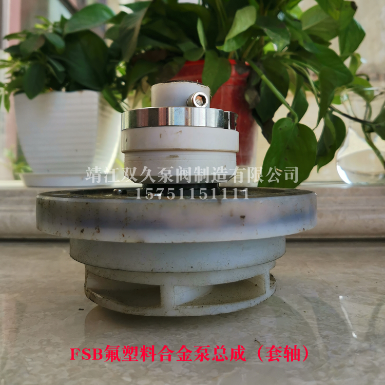 FSB氟泵总成25/32/40/50/65/80/100/125FSB泵盖叶轮套轴高分子