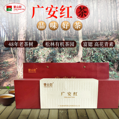 广安特产 华蓥山上松林下的高山红茶90g