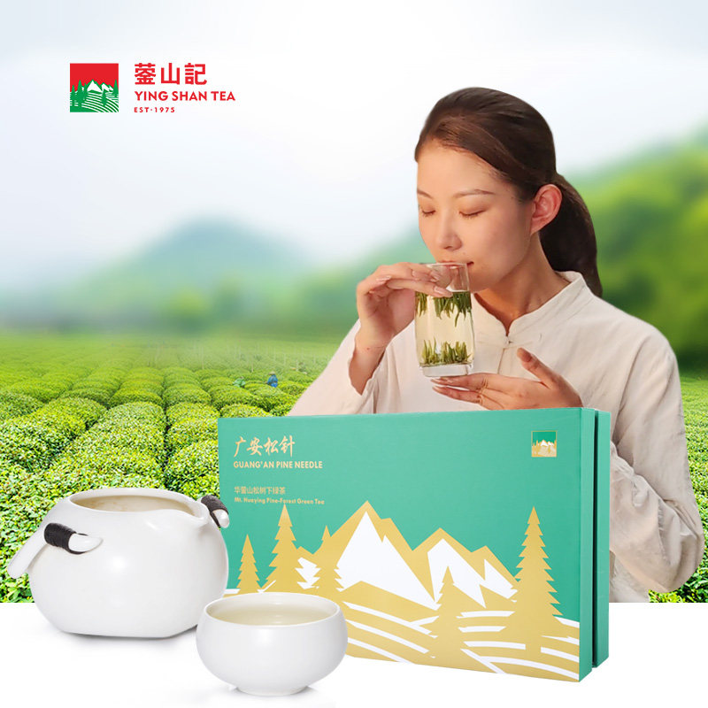 蓥山记广安松针清明茶松树下的高山生态绿茶礼盒装