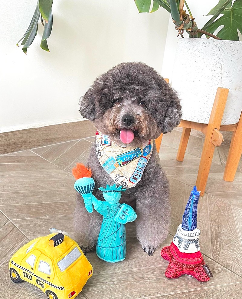 petplay宠物狗狗发声陪伴玩具