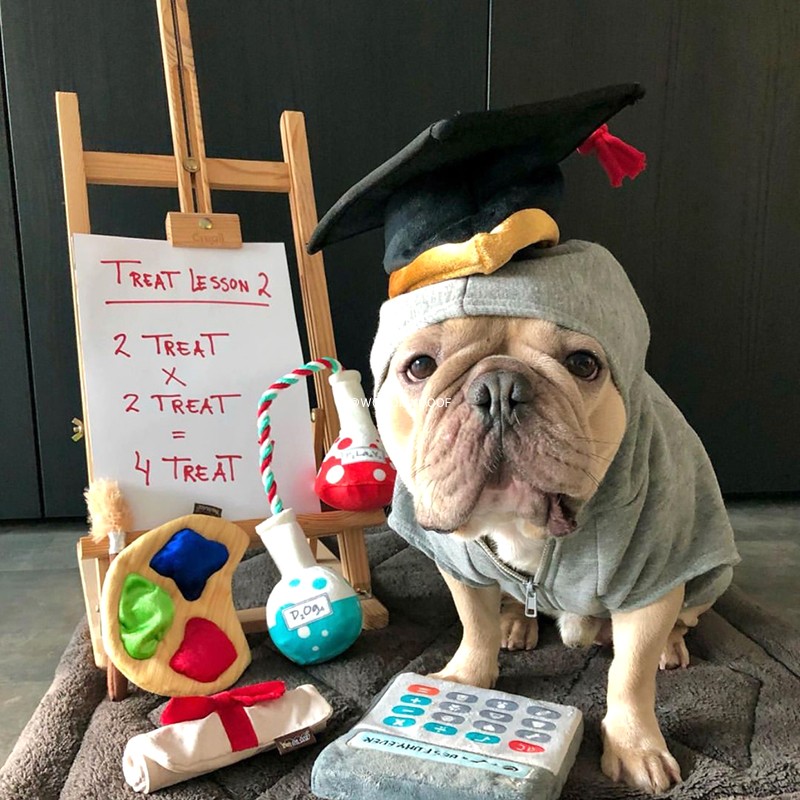 美国宠物网红petplay发声玩具