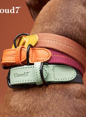 Madeira马德拉 Cloud7德国进口宠物牛皮项圈牵引猫狗中小型犬胸背