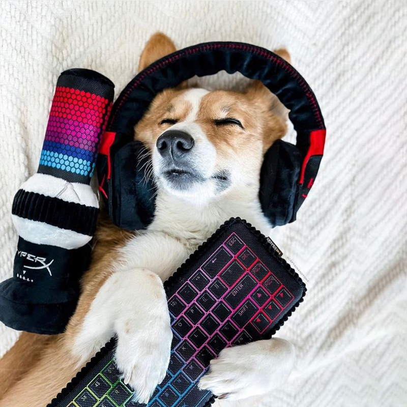 狗狗互动毛绒发声玩具PETPLAY