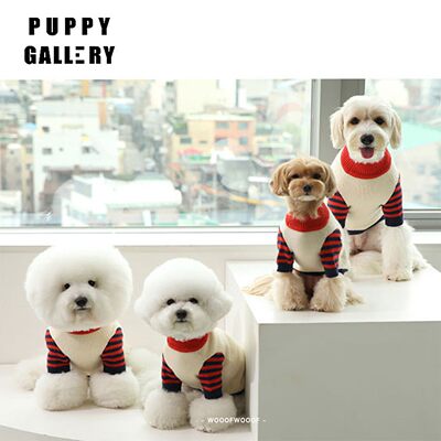 Latte条纹毛衣韩国PuppyGallery