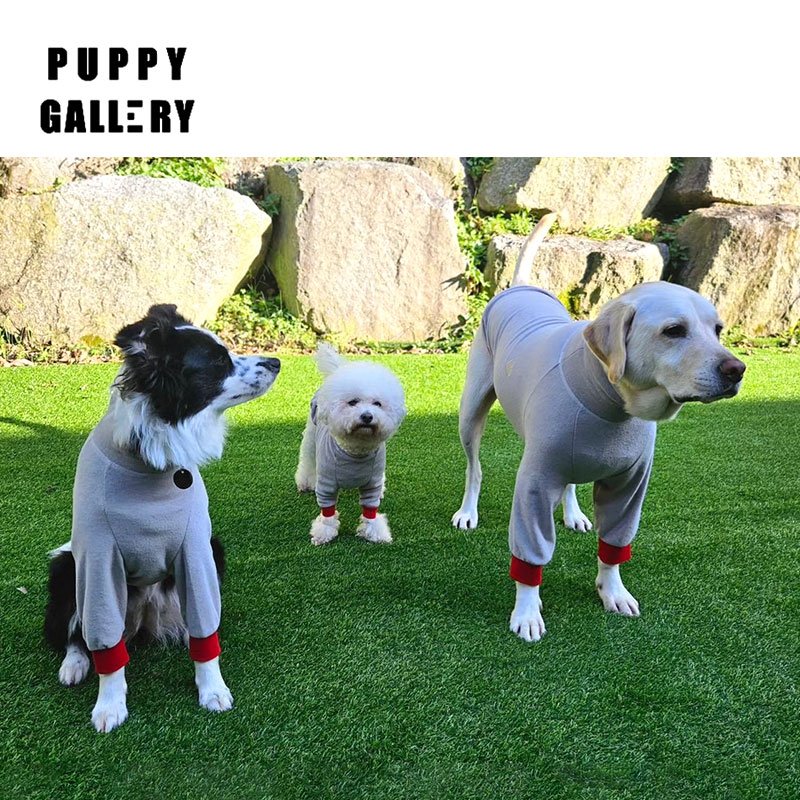 PuppyGallery狗中大型犬保暖卫衣