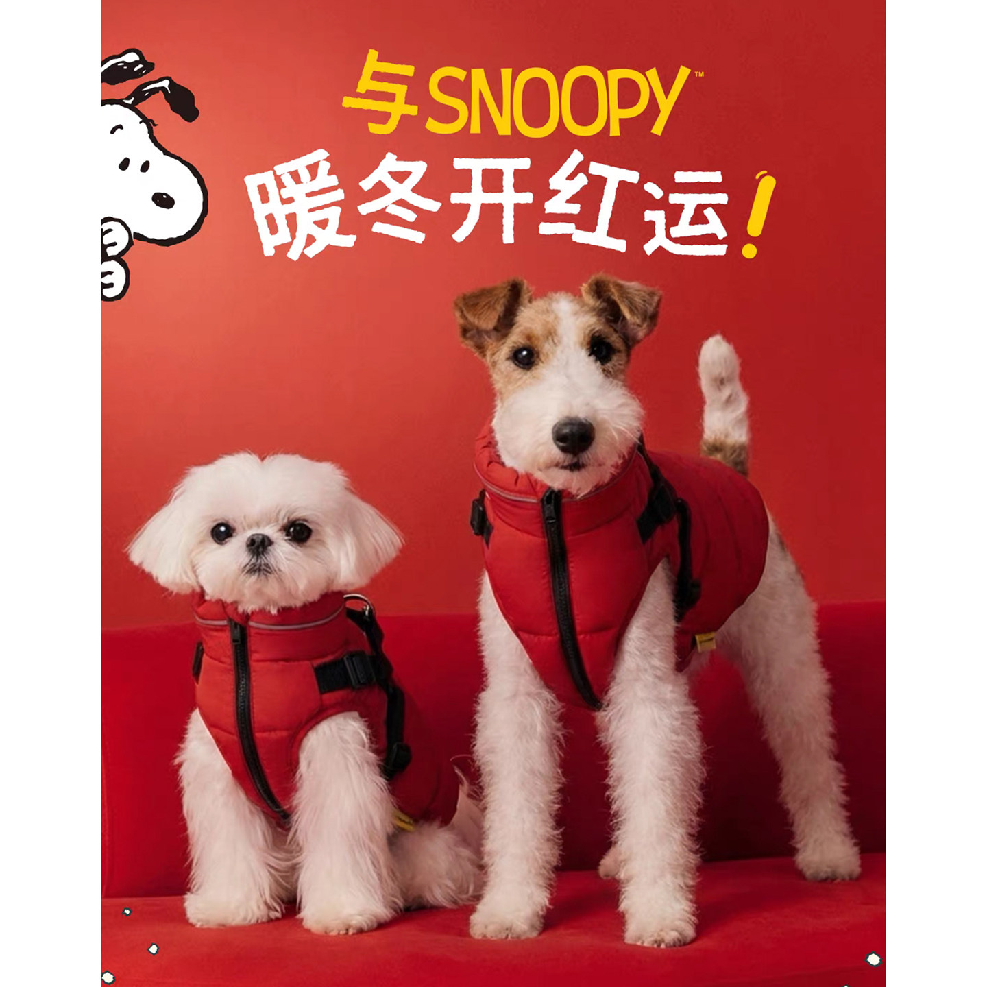 ISPET史努比联名款棉服韩国宠物狗狗猫中小型犬过年红色喜庆外套