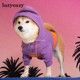 LazyEazy宠物猫咪狗狗法斗中小型犬运动服保暖衣服 撞色连帽卫衣