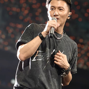 香港明星同款谢霆锋2025进化演唱会同款周边衣服装t恤短袖上衣潮T