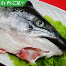 鲜有汇聚进口新鲜冰鲜三文鱼头600g生鲜烧烤炖汤食材海鲜水产鲜活
