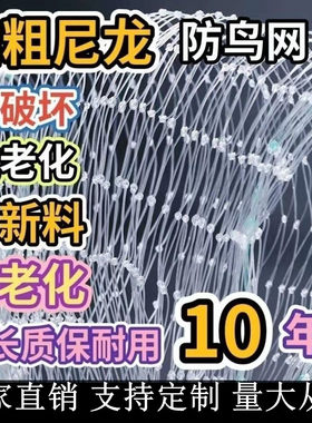 防鸟网果树草莓大棚樱桃葡萄梨树果园防鸟用网尼龙养殖网鱼塘天网