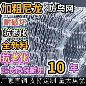 防鸟网果树草莓大棚樱桃葡萄梨树果园防鸟用网尼龙养殖网鱼塘天网