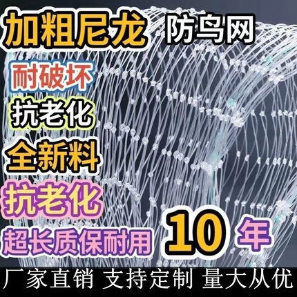 防鸟网果树草莓大棚樱桃葡萄梨树果园防鸟用网尼龙养殖网鱼塘天网