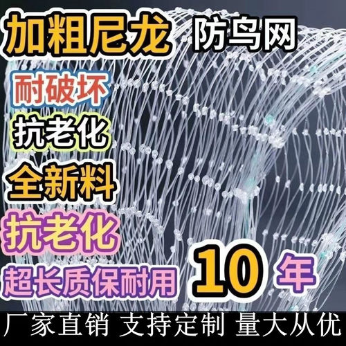 防鸟网果树草莓大棚樱桃葡萄梨树果园防鸟用网尼龙养殖网鱼塘天网