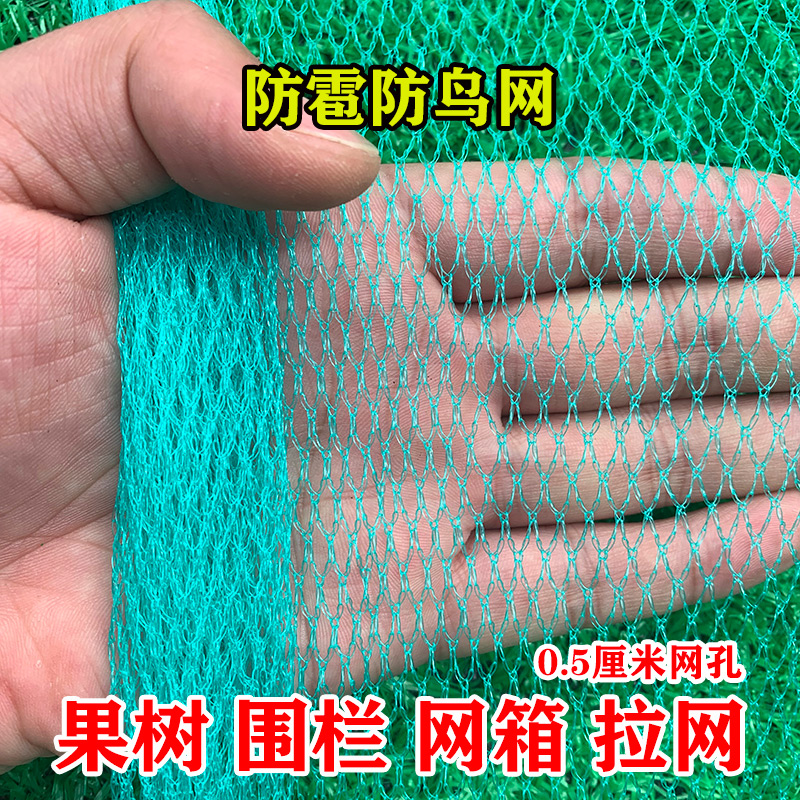 果树防鸟网冰雹无结网布