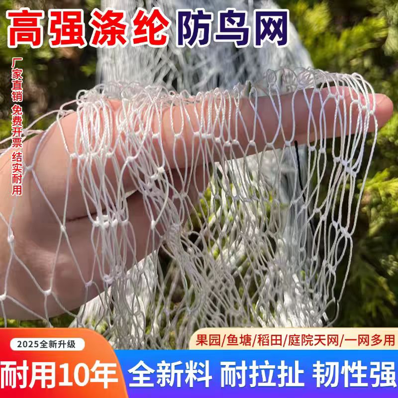 涤纶防鸟网大棚果园葡萄樱桃果树