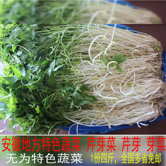 无为特产新鲜蔬菜农产品蔬菜