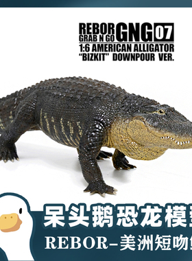 REBOR2023新野生动物 美洲短吻鳄鳄鱼模型玩具史前动物