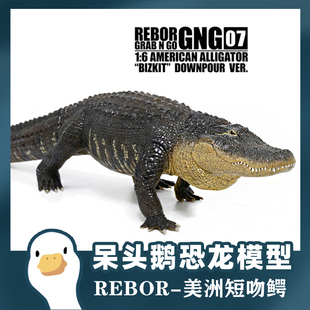 REBOR2023新野生动物 美洲短吻鳄鳄鱼模型玩具史前动物