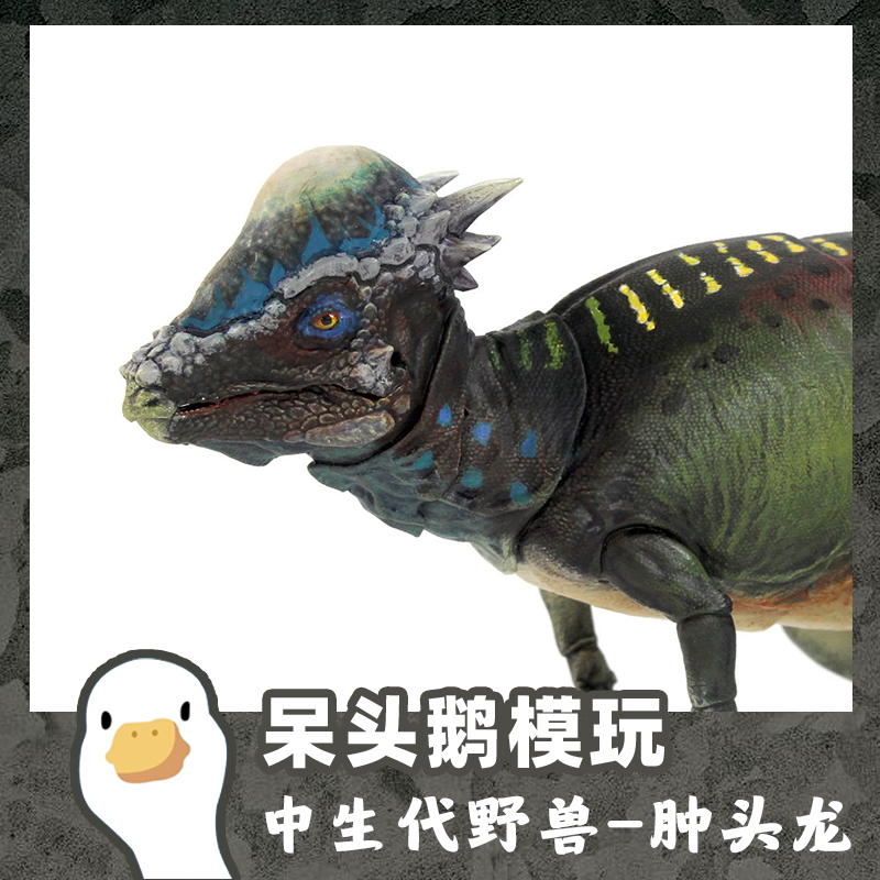 【呆头鹅模玩】中生代野兽BOM肿头龙恐龙模型玩具