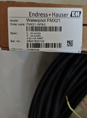 waterpilot FMX21-19F8/0静压式液位计陶 议价