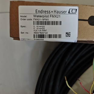 0静压式 waterpilot FMX21 19F8 议价 液位计陶