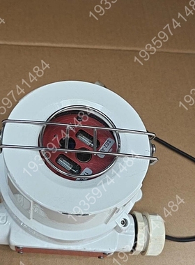 Fire Sentry SS2火焰探测器，， 议价