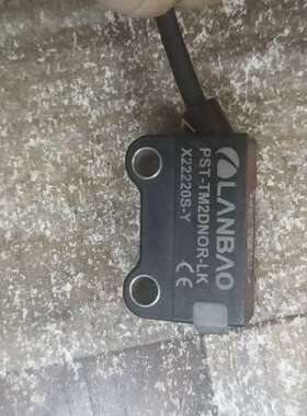 兰宝PST-TM2DR-LK光电开关 几十 议价