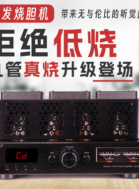 丹麦发烧九胆HIFI胆机