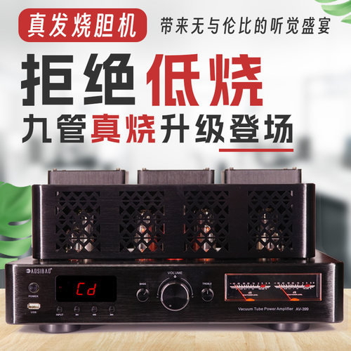 丹麦发烧九胆HIFI胆机