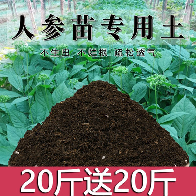 人参专用土人参苗土种植酸性土壤营养土盆栽种花泥土透气养花土