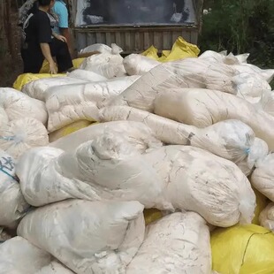 广西豆渣豆腐渣发酵批发中大型养殖户喂牛羊鸡鸭鹅猪发酵饲料新鲜