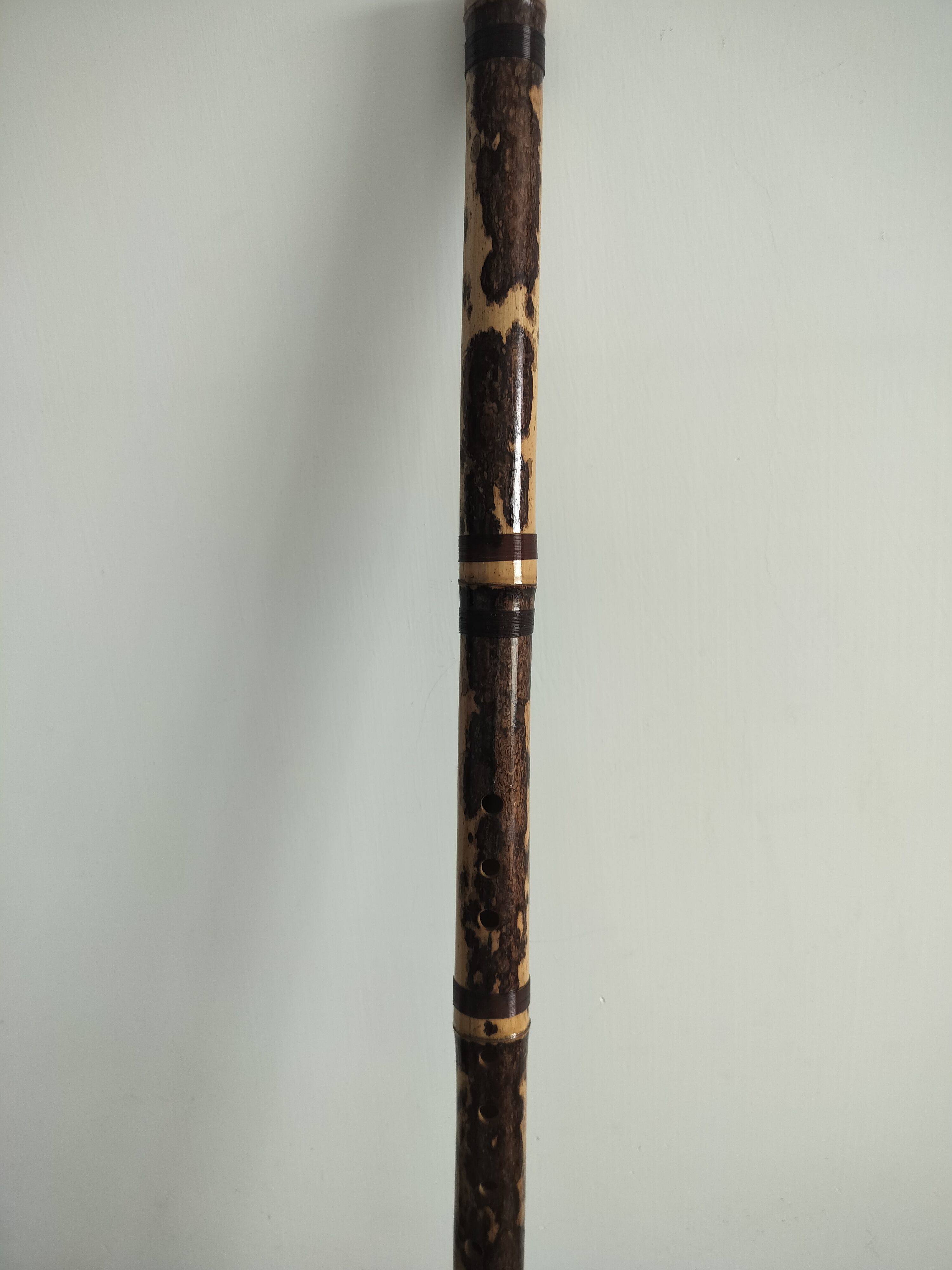 e调洞箫专业初学萧乐器虎斑竹古风演奏竹箫八孔长箫精品乐器