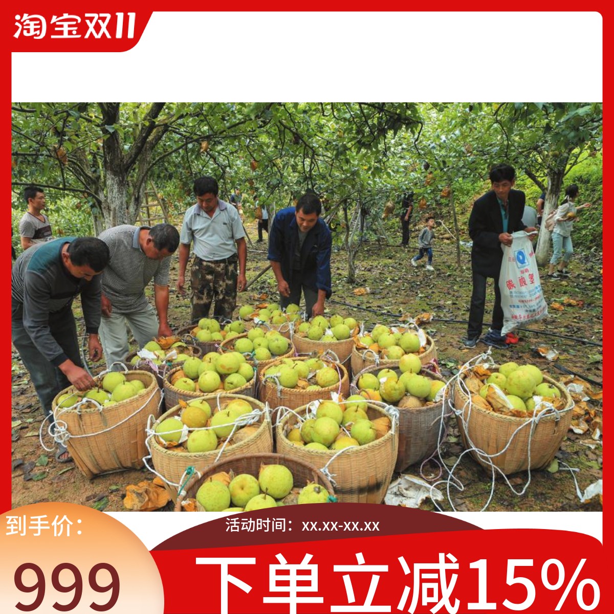 雪梨水果云和雪梨１０斤梨子高山农家水果梨新品包邮新鲜鸭梨梨子