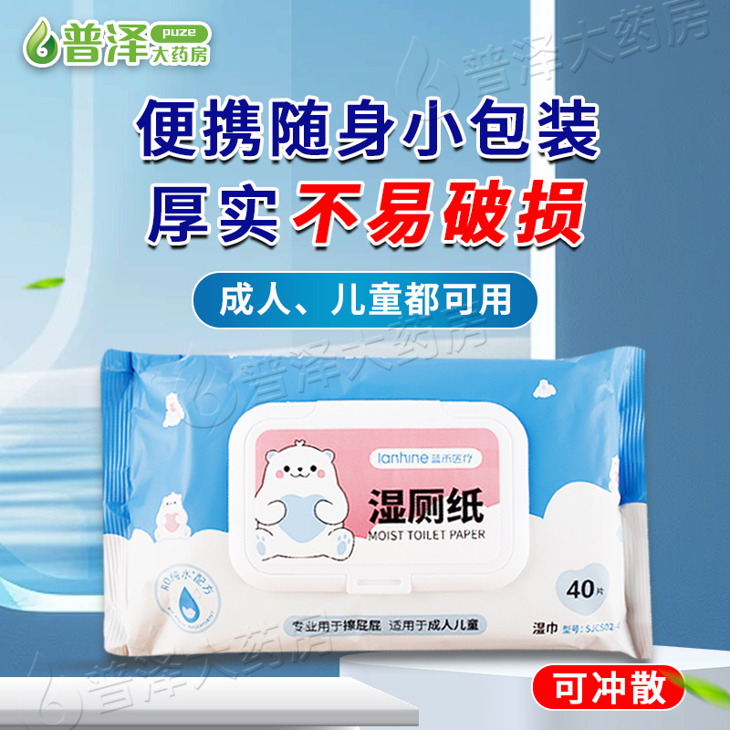 蓝禾湿厕纸纯水湿巾便携洁厕