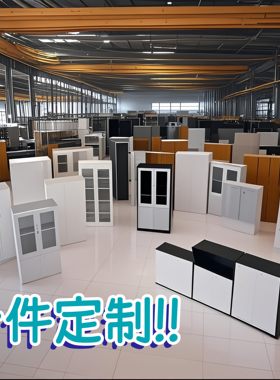定制铁皮柜钢制储物柜木质收纳柜