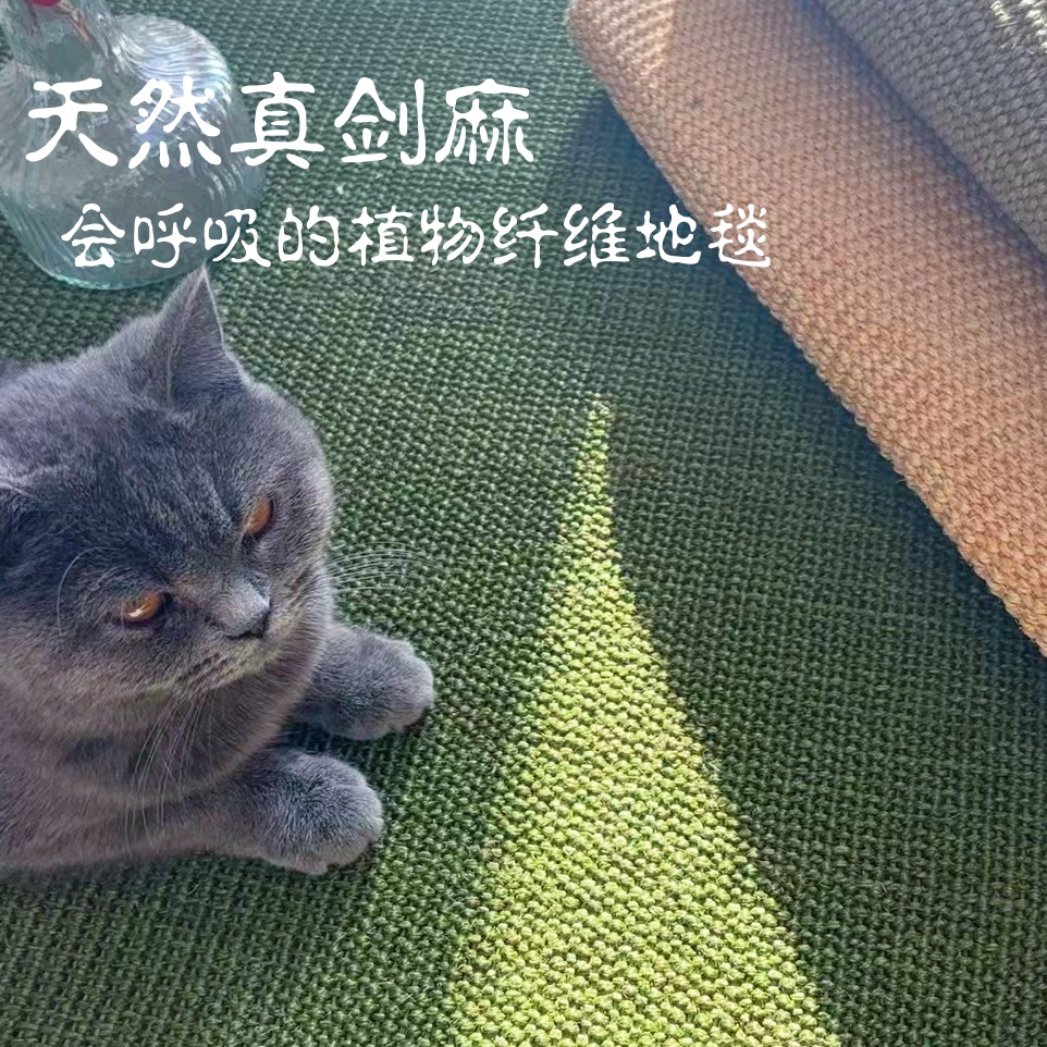 地毯格丝诺天然剑麻植物