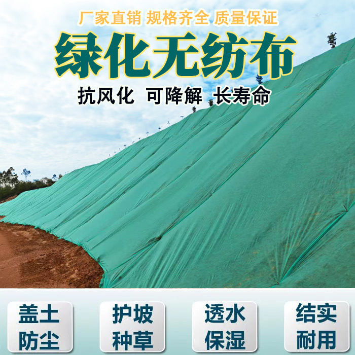 边坡护坡盖土草坪绿化无纺布绿色