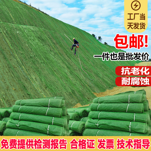 加筋格栅植草护坡三维网垫麦克垫