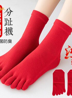 本命年中筒情侣五指袜