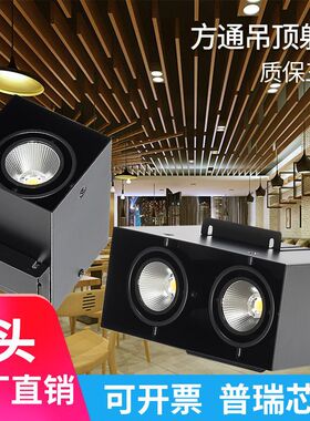 铝方通专用射灯方形双头led筒灯商用店铺cob方通吊顶格栅灯斗胆灯