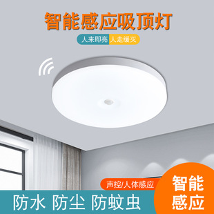 工厂三防吸顶灯声光控雷达人体感应灯走廊过道楼梯照明