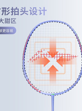李宁羽毛球拍双拍男女羽拍娱乐型训练耐打入门对拍雷霆8 AYPS183