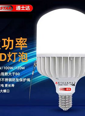 通士达照明大功率LED球泡E40厂房专用灯泡80w100w120w