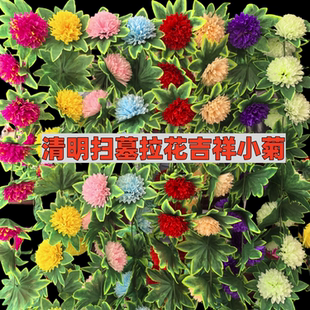 清明扫墓花吉祥菊22朵祭祀扫墓上坟祭祖墓碑缠绕拉花仿真菊花藤蔓