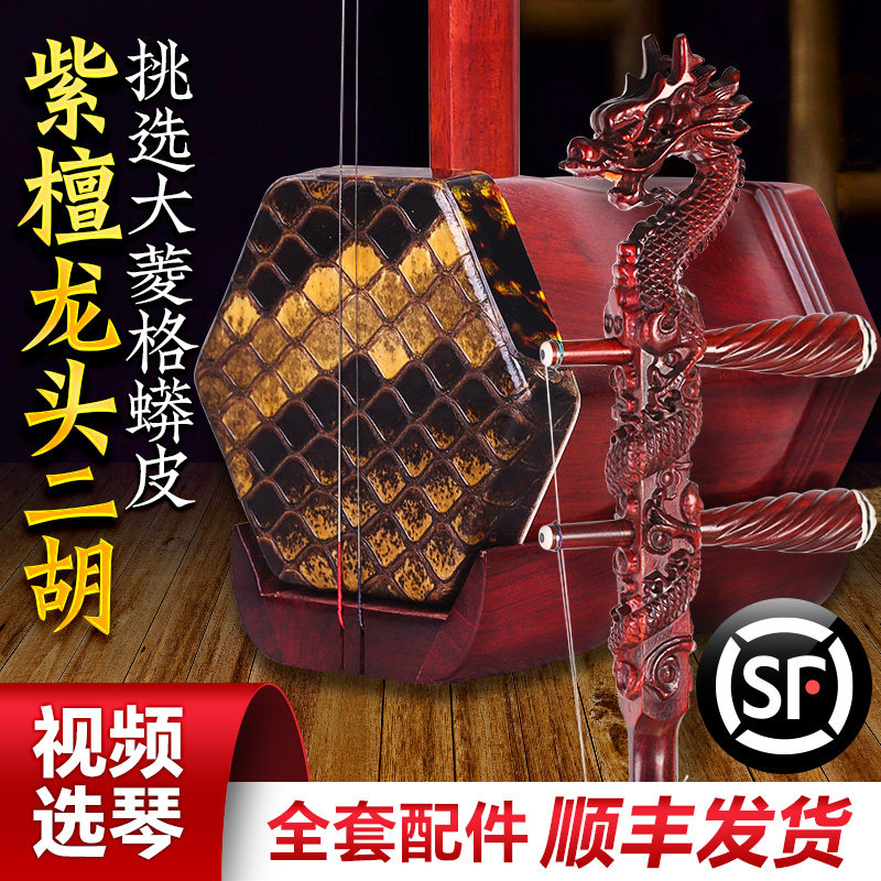 紫檀二胡龙头大皮二胡大蟒皮非洲小叶紫檀二胡琴专业演奏考级乐器