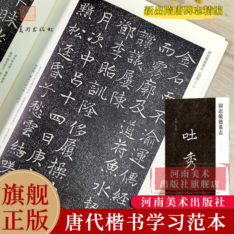 尉迟敬德墓志墓志-新出隋唐碑志精编 唐代楷书小楷毛笔书法碑帖临习临摹鉴赏范本书籍河南美术出版社