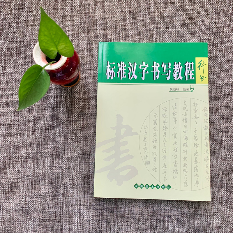 【旗舰正版】标准汉字书写教程行书 硬笔钢笔书法速成教材原创教程手写字帖硬笔作品鉴赏技巧示范 从入门到精通教程培训班推荐用书