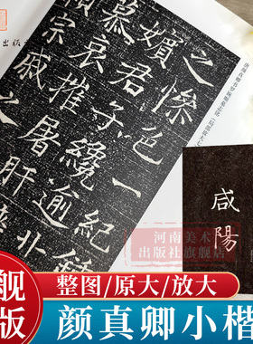 唐颜真卿书罗婉顺墓志铭 毛笔书法小楷原大字帖颜真卿新出土原石拓本对照附释文楷书练字帖碑刻拓对勘高清附注释隋唐碑志精编