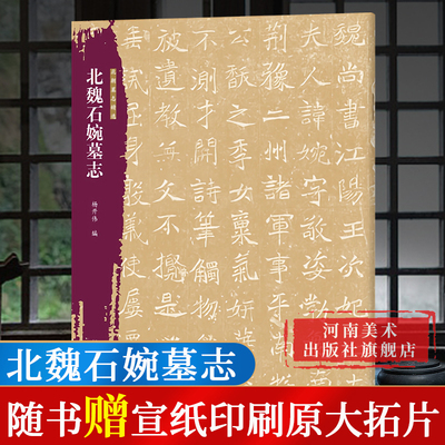 【旗舰正版】北魏石婉墓志北朝墓志精选字帖+原大整拓 魏碑楷书毛笔书法字帖穆亮元桢等墓志铭精选毛笔练字古帖书籍河南美术出版社